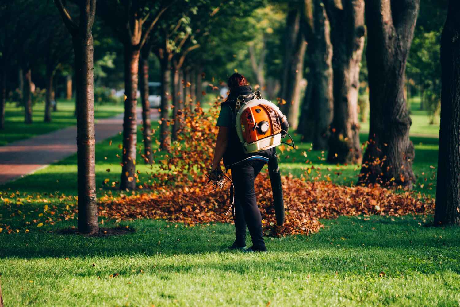 Best Residential Tree Removal  in Chillicothe, MO